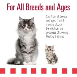 Livelong Healthy & Strong Yummy Meats Wet Cat Food, 5.5-oz Can, 24 Count -Furry Friends 964158 PT3. AC SS1800 V1697117630