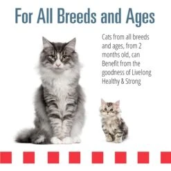 Livelong Healthy & Strong Yummy Seafood Wet Cat Food, 5.5-oz Can, 24 Count -Furry Friends 964174 PT3. AC SS1800 V1697117690