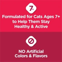 Cat Chow Essentials 7+ Immune + Joint Health Recipe Senior Dry Cat Food -Furry Friends 966590 PT3. AC SS1800 V1696359580