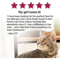 Cat Chow Essentials 7+ Immune + Joint Health Recipe Senior Dry Cat Food -Furry Friends 966590 PT5. AC SS1800 V1696349395