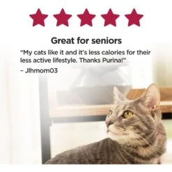 Cat Chow Essentials 7+ Immune + Joint Health Recipe Senior Dry Cat Food -Furry Friends 966590 PT6. AC SS1800 V1696352262