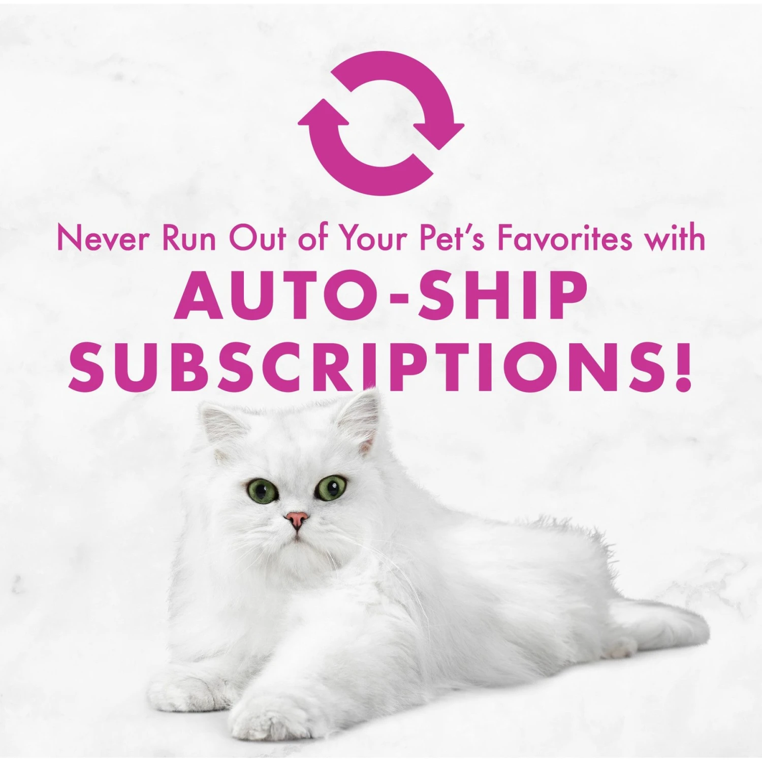 Fancy Feast Seafood Classic Pate Collection Variety Pack Grain-Free Wet Cat Food, 3-oz Can, Case Of 36 11 Fancy Feast Seafood Classic Pate Collection Variety Pack Grain-Free Wet Cat Food, 3-oz Can, Case Of 36 - Image 9