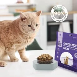 Fur Valley Purrfect Poultry Recipe Freeze-Dried Cat Food, 14-oz Bag -Furry Friends 970926 PT5. AC SS1800 V1698864698