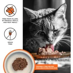 BIXBI LIBERTY Chicken Recipe & Tuna Recipe Variety Pack Grain-Free Wet Cat Food, 2.75-oz Can, Case Of 12 13 BIXBI LIBERTY Chicken Recipe & Tuna Recipe Variety Pack Grain-Free Wet Cat Food, 2.75-oz Can, Case Of 12 -Furry Friends 972510 PT3. AC SS1800 V1698683541