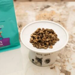 Love, Nala Turkey Grain-Free Adult Dehydrated Cat Food, 1-lb Bag -Furry Friends 975110 PT3. AC SS1800 V1698935187