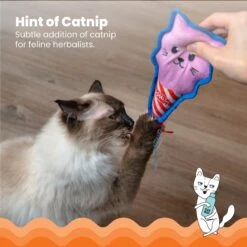 Catstages Kitt'n Candy Kicker Pink Interactive Catnip Cat Toy, Pink -Furry Friends 976198 PT2. AC SS1800 V1696615465