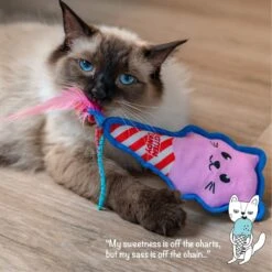 Catstages Kitt'n Candy Kicker Pink Interactive Catnip Cat Toy, Pink -Furry Friends 976198 PT5. AC SS1800 V1696615406
