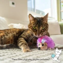 Catstages Catnip Plushies Hedgehog Plush Catnip Cat Toy, Multicolor -Furry Friends 976230 PT6. AC SS1800 V1696603874