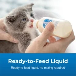 PetAg KMR Liquid Milk Supplement For Kittens -Furry Friends 97831 PT3. AC SS1800 V1669396892