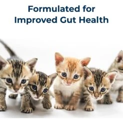 PetAg KMR Liquid Milk Supplement For Kittens -Furry Friends 97831 PT4. AC SS1800 V1669391003