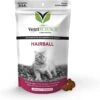 VetriScience Hairball Chicken Liver Flavored Soft Chews Hairball Control Supplement For Cats -Furry Friends 98131 MAIN. AC SS1800 V1474979078
