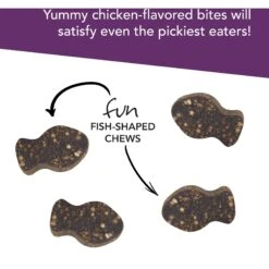 VetriScience Vetri-Lysine Plus Chicken Liver Flavored Soft Chews Immune Supplement For Cats 12 VetriScience Vetri-Lysine Plus Chicken Liver Flavored Soft Chews Immune Supplement For Cats -Furry Friends 98132 PT4. AC SS1800 V1659634945