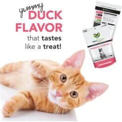 VetriScience Probiotic Everyday Duck Flavored Soft Chews Digestive Supplement For Cats 8 VetriScience Probiotic Everyday Duck Flavored Soft Chews Digestive Supplement For Cats -Furry Friends 98134 PT2. AC SS1800 V1659635067