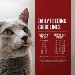 Fussie Cat Market Fresh Chicken & Turkey Recipe Grain-Free Dry Cat Food -Furry Friends 98153 PT5. AC SS1800 V1642566997