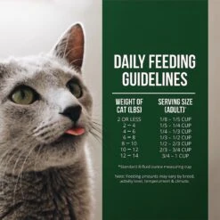 Fussie Cat Market Fresh Salmon & Chicken Recipe Grain-Free Dry Cat Food -Furry Friends 98161 PT5. AC SS1800 V1642575082