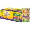 Wellness Complete Health Chicken & Turkey Pate Favorites Variety Pack Grain-Free Wet Cat Food, 3-oz Can, Case Of 12