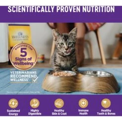 Wellness Complete Health Chicken & Turkey Pate Favorites Variety Pack Grain-Free Wet Cat Food, 3-oz Can, Case Of 12 14 Wellness Complete Health Chicken & Turkey Pate Favorites Variety Pack Grain-Free Wet Cat Food, 3-oz Can, Case Of 12 -Furry Friends 984630 PT4. AC SS1800 V1699642702