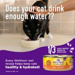Wellness Complete Health Seafood Pate Favorites Variety Pack Grain-Free Wet Cat Food, 3-oz Can, Case Of 12 13 Wellness Complete Health Seafood Pate Favorites Variety Pack Grain-Free Wet Cat Food, 3-oz Can, Case Of 12 -Furry Friends 984646 PT3. AC SS1800 V1699642707