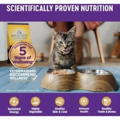 Wellness Complete Health Seafood Pate Favorites Variety Pack Grain-Free Wet Cat Food, 3-oz Can, Case Of 12 14 Wellness Complete Health Seafood Pate Favorites Variety Pack Grain-Free Wet Cat Food, 3-oz Can, Case Of 12 -Furry Friends 984646 PT4. AC SS1800 V1699642707