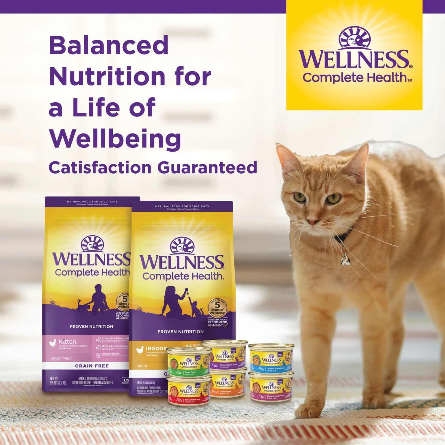 Wellness Complete Health Seafood Pate Favorites Variety Pack Grain-Free Wet Cat Food, 3-oz Can, Case Of 12 10 Wellness Complete Health Seafood Pate Favorites Variety Pack Grain-Free Wet Cat Food, 3-oz Can, Case Of 12 - Image 8