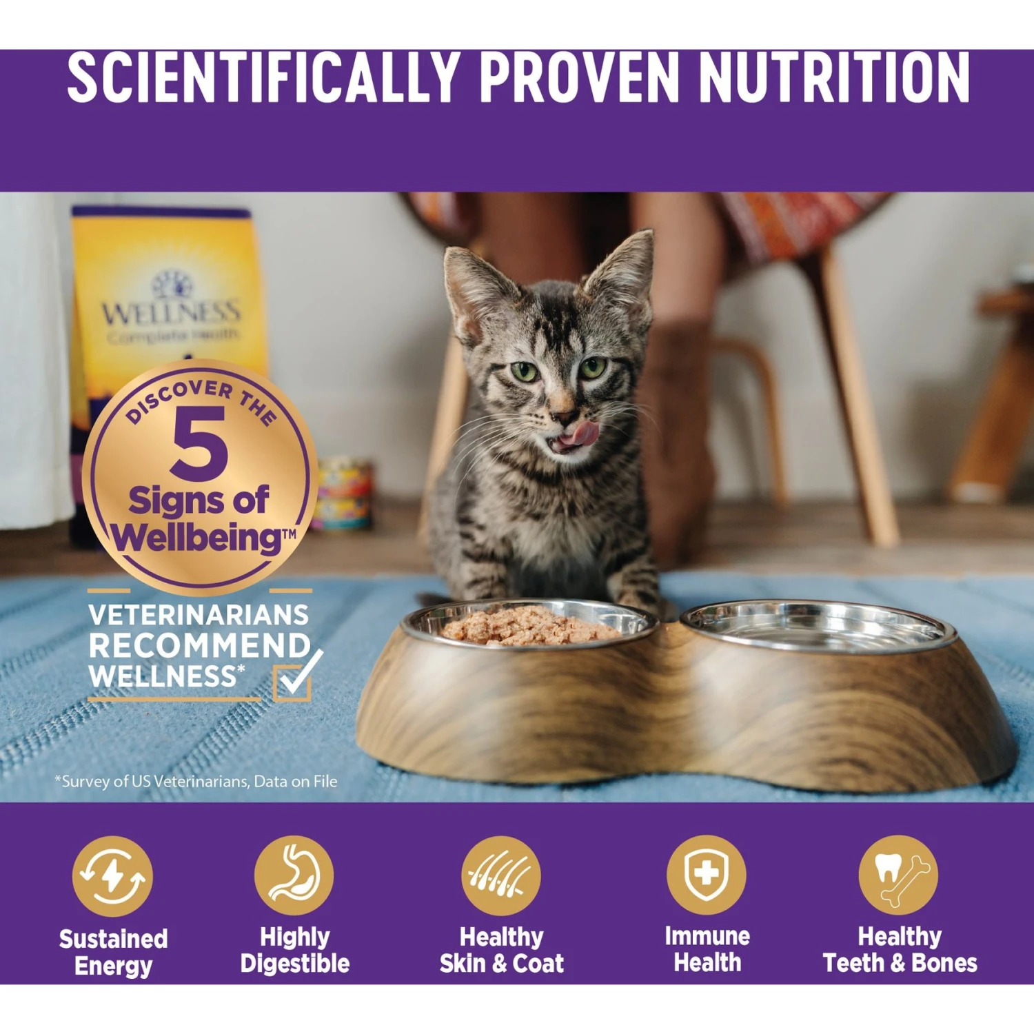 Wellness Complete Health Chicken & Turkey Lovers Gravies & Minced Variety Pack Grain-Free Wet Cat Food, 3-oz Can, Case Of 12 7 Wellness Complete Health Chicken & Turkey Lovers Gravies & Minced Variety Pack Grain-Free Wet Cat Food, 3-oz Can, Case Of 12 - Image 5