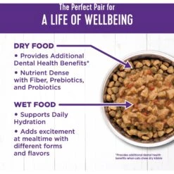Wellness Complete Health Chicken & Turkey Lovers Gravies & Minced Variety Pack Grain-Free Wet Cat Food, 3-oz Can, Case Of 12 15 Wellness Complete Health Chicken & Turkey Lovers Gravies & Minced Variety Pack Grain-Free Wet Cat Food, 3-oz Can, Case Of 12 -Furry Friends 984662 PT5. AC SS1800 V1699642704