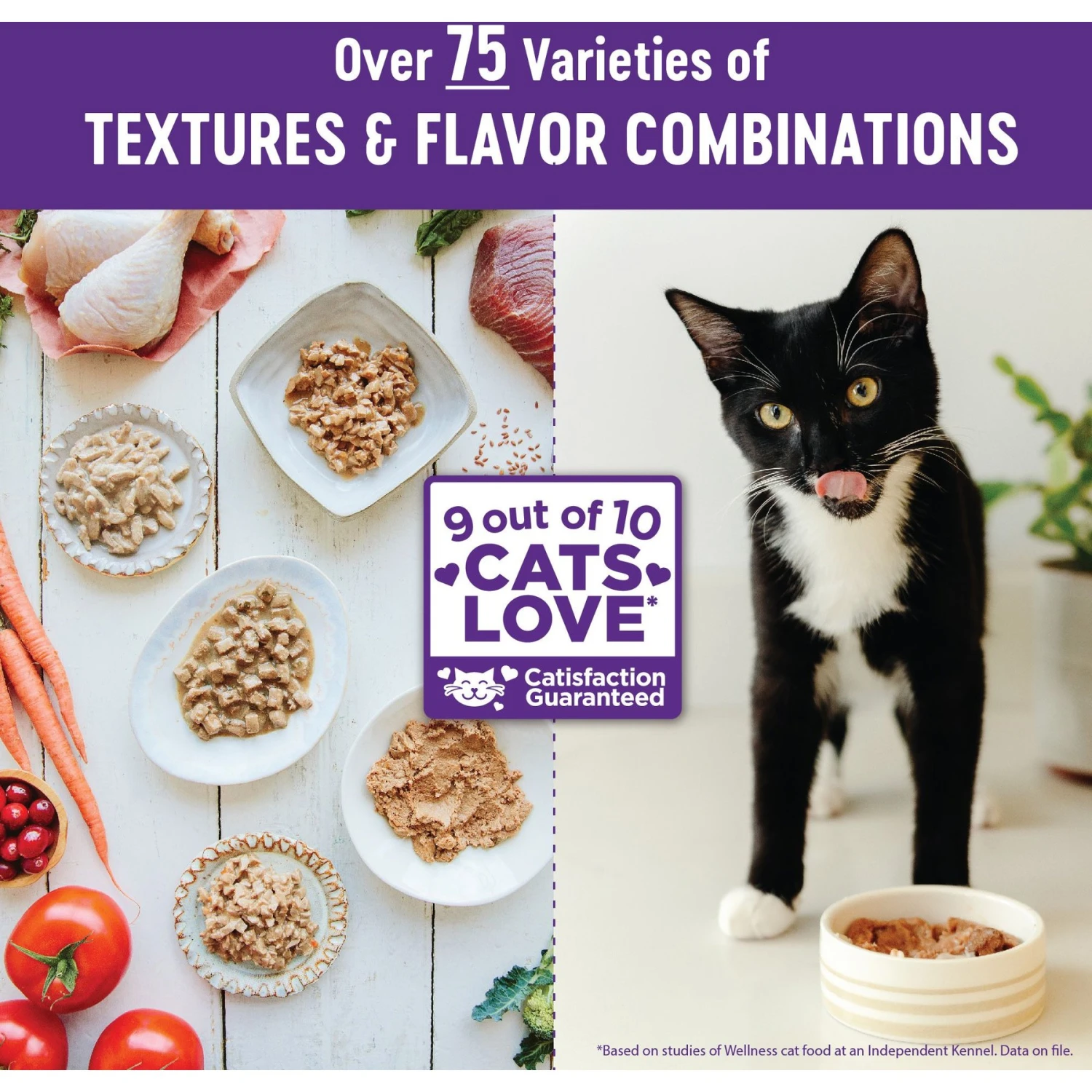 Wellness Complete Health Chicken & Turkey Lovers Gravies & Minced Variety Pack Grain-Free Wet Cat Food, 3-oz Can, Case Of 12 9 Wellness Complete Health Chicken & Turkey Lovers Gravies & Minced Variety Pack Grain-Free Wet Cat Food, 3-oz Can, Case Of 12 - Image 7