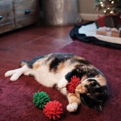 Frisco Holiday Moppy Ball Cat Toy With Catnip, 3 Count & Frisco Holiday Mice Cat Toy With Catnip, 5 Count -Furry Friends 986150 PT4. AC SS1800 V1698258174