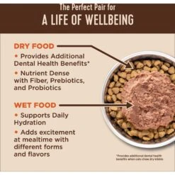 Wellness CORE Digestive Health Chicken & Turkey Pate Variety Pack Grain-Free Wet Cat Food & Wellness CORE Digestive Health Wholesome Grains Chicken & Rice Recipe Dry Cat Food 18 Wellness CORE Digestive Health Chicken & Turkey Pate Variety Pack Grain-Free Wet Cat Food & Wellness CORE Digestive Health Wholesome Grains Chicken & Rice Recipe Dry Cat Food -Furry Friends 986454 PT7. AC SS1800 V1698672319