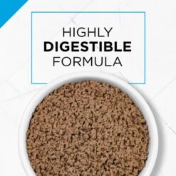 Purina Pro Plan Adult Sensitive Skin & Stomach Lamb & Rice Formula Dry Cat Food & Purina Pro Plan Focus Sensitive Skin & Stomach Duck & Arctic Char Variety Pack Canned Cat Food, 3-oz Can, Case Of 24 -Furry Friends 986510 PT7. AC SS1800 V1698672375