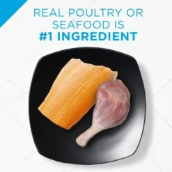 Purina Pro Plan Adult Sensitive Skin & Stomach Lamb & Rice Formula Dry Cat Food & Purina Pro Plan Focus Sensitive Skin & Stomach Duck & Arctic Char Variety Pack Canned Cat Food, 3-oz Can, Case Of 24 -Furry Friends 986510 PT8. AC SS1800 V1698672315