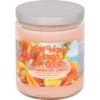 Pet Odor Exterminator Maui Wowie Mango Deodorizing Candle -Furry Friends 99300 MAIN. AC SS1800 V1628687809