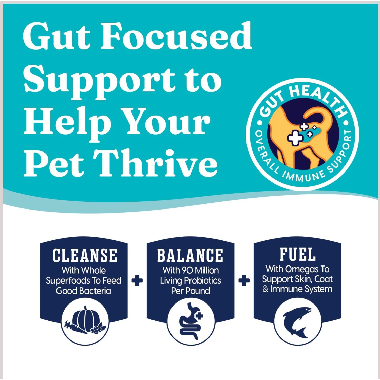 Solid Gold Winged Tiger With Quail & Pumpkin Grain-Free Sensitive Stomach Adult Dry Cat Food 6 Solid Gold Winged Tiger With Quail & Pumpkin Grain-Free Sensitive Stomach Adult Dry Cat Food - Image 4