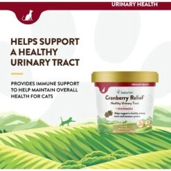 NaturVet Cranberry Relief Plus Echinacea Soft Chews Urinary Supplement For Cats -Furry Friends 99409 PT2. AC SS1800 V1698691669