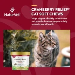 NaturVet Cranberry Relief Plus Echinacea Soft Chews Urinary Supplement For Cats -Furry Friends 99409 PT3. AC SS1800 V1698693733