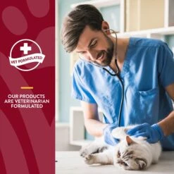 NaturVet Cranberry Relief Plus Echinacea Soft Chews Urinary Supplement For Cats -Furry Friends 99409 PT5. AC SS1800 V1698694964