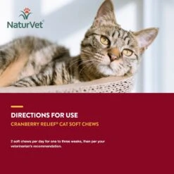 NaturVet Cranberry Relief Plus Echinacea Soft Chews Urinary Supplement For Cats -Furry Friends 99409 PT6. AC SS1800 V1698697703
