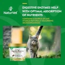 NaturVet Digestive Enzymes Plus Probiotic Soft Chews Digestive Supplement For Cats -Furry Friends 99410 PT3. AC SS1800 V1698696351