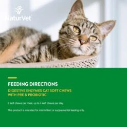 NaturVet Digestive Enzymes Plus Probiotic Soft Chews Digestive Supplement For Cats -Furry Friends 99410 PT6. AC SS1800 V1698696071