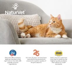 NaturVet Digestive Enzymes Plus Probiotic Soft Chews Digestive Supplement For Cats -Furry Friends 99410 PT8. AC SS1800 V1698694347