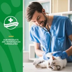 NaturVet Hairball Aid Plus Pumpkin Soft Chews Hairball Control Supplement For Cats -Furry Friends 99412 PT5. AC SS1800 V1698692843