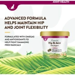 NaturVet Hip & Joint Plus Omegas Soft Chews Joint Supplement For Cats -Furry Friends 99413 PT2. AC SS1800 V1698696409
