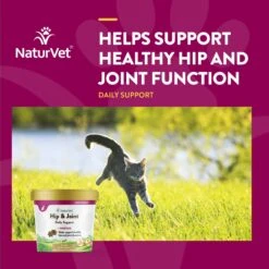 NaturVet Hip & Joint Plus Omegas Soft Chews Joint Supplement For Cats -Furry Friends 99413 PT3. AC SS1800 V1698691668