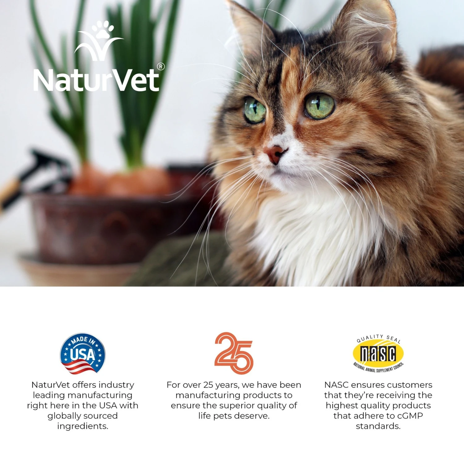 NaturVet VitaPet Senior Daily Vitamins Plus Glucosamine Cat Supplement 11 NaturVet VitaPet Senior Daily Vitamins Plus Glucosamine Cat Supplement - Image 9