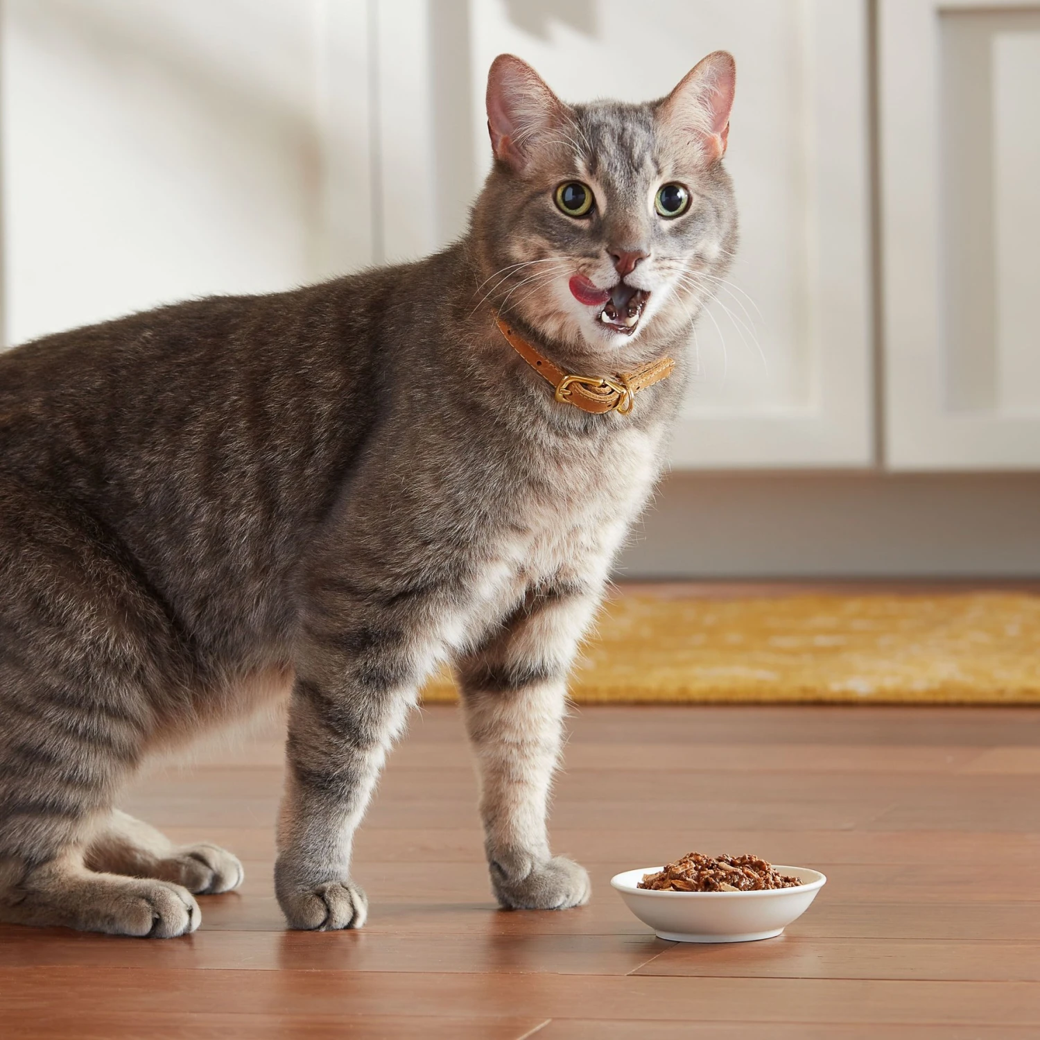 Meow Mix Hairball Control Dry Cat Food 7 Meow Mix Hairball Control Dry Cat Food - Image 5