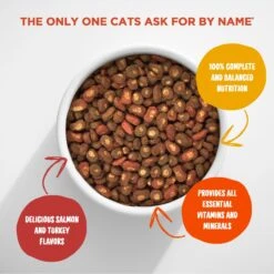 Meow Mix Tender Centers Salmon & Turkey Dry Cat Food 13 Meow Mix Tender Centers Salmon & Turkey Dry Cat Food -Furry Friends 99974 PT2. AC SS1800 V1670620207