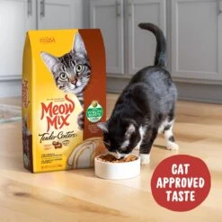 Meow Mix Tender Centers Salmon & Turkey Dry Cat Food 14 Meow Mix Tender Centers Salmon & Turkey Dry Cat Food -Furry Friends 99974 PT3. AC SS1800 V1670621340