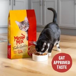 Meow Mix Tender Centers Salmon & White Meat Chicken Dry Cat Food -Furry Friends 99977 PT3. AC SS1800 V1670620273