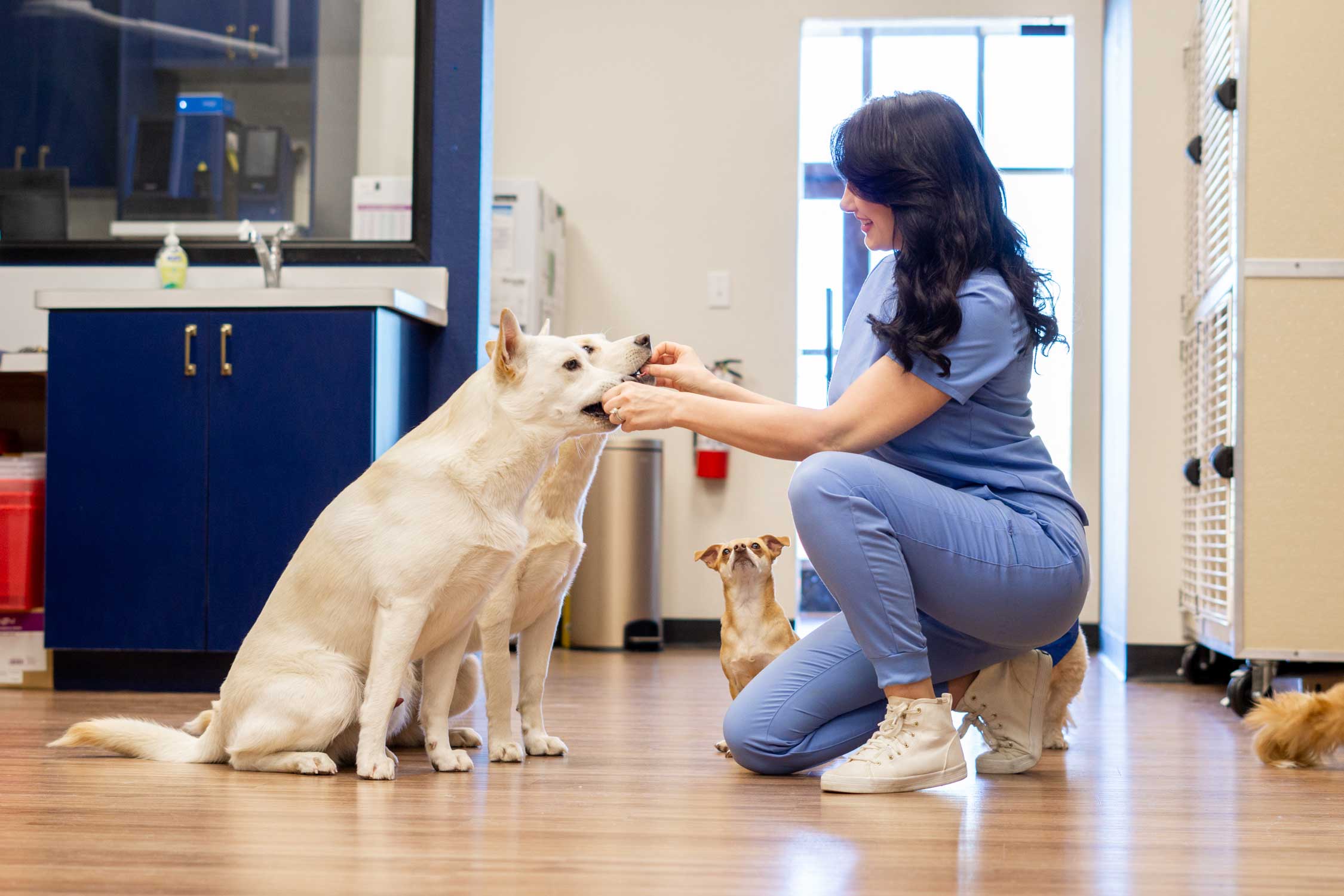 Furry Friends 63 Furry Friends -Furry Friends 65a698a13b2ac9c767ea10e9 Pet Method 074OPT