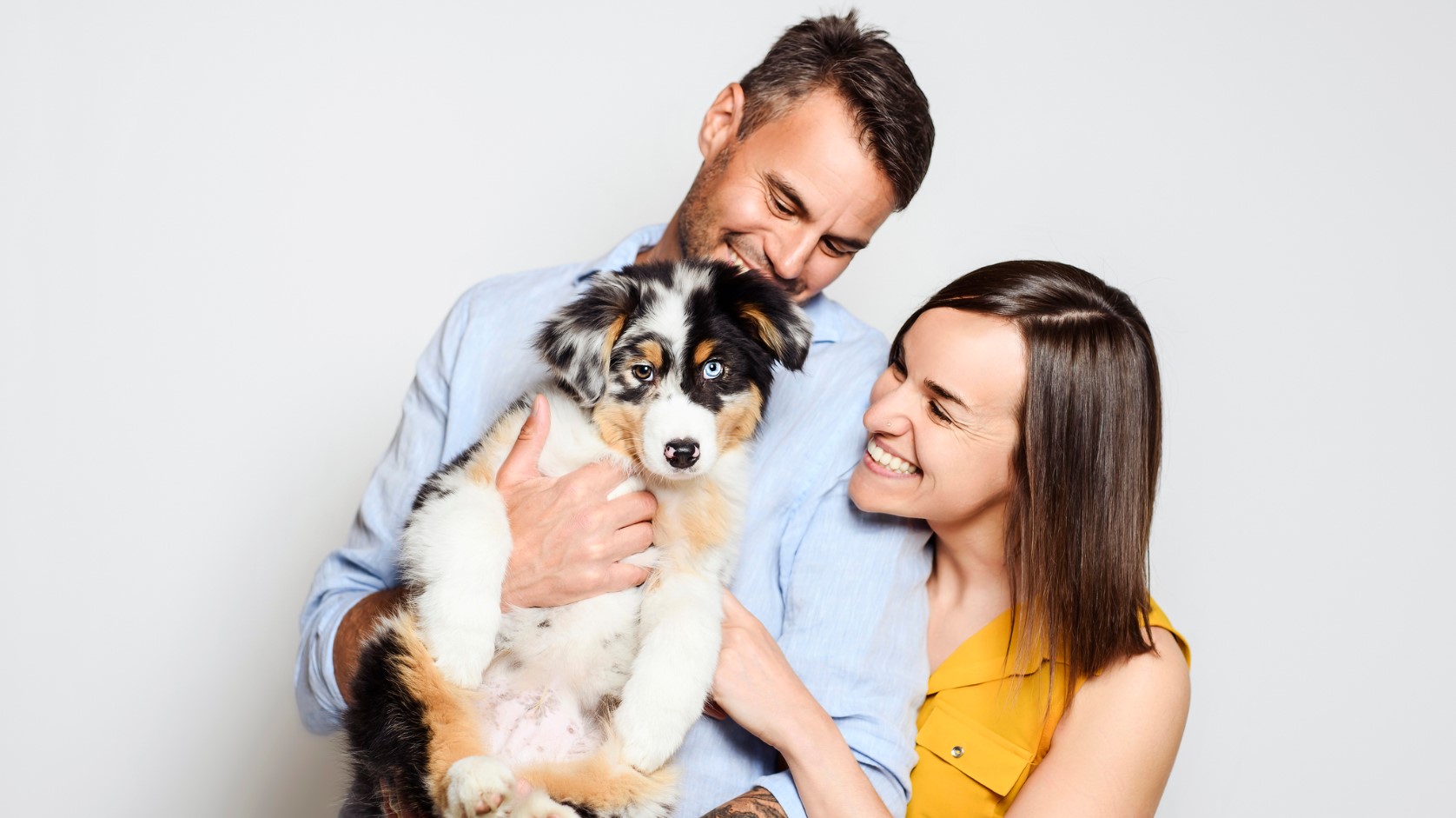 Furry Friends 1 Furry Friends -Furry Friends Screenshot 2025 03 10 153749